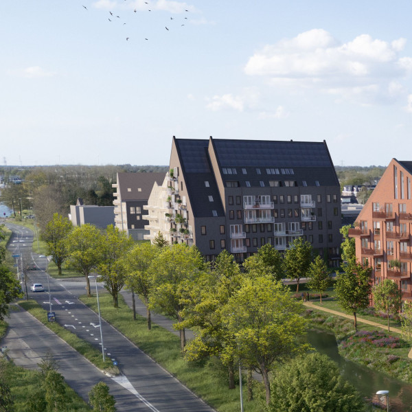 Timpaan, Intermaris en Kuin vieren start bouw 62 sociale huurappartementen in Rozenbuurt Zwaag